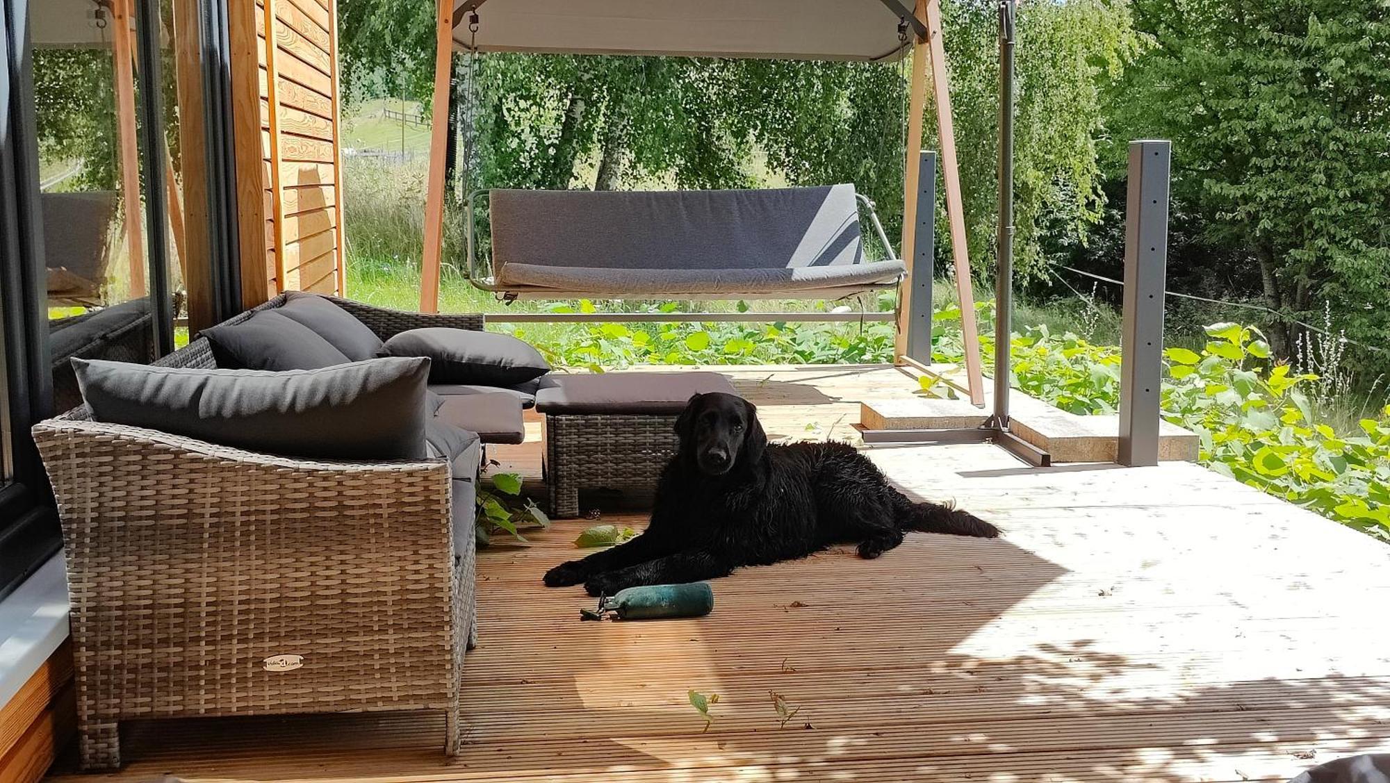 Tinyhousebeidresden 3 Fuer 2 - 7 Personen, Naehe Saechsische Schweiz, Dresden, Mit Badeteich Villa Grossharthau ภายนอก รูปภาพ